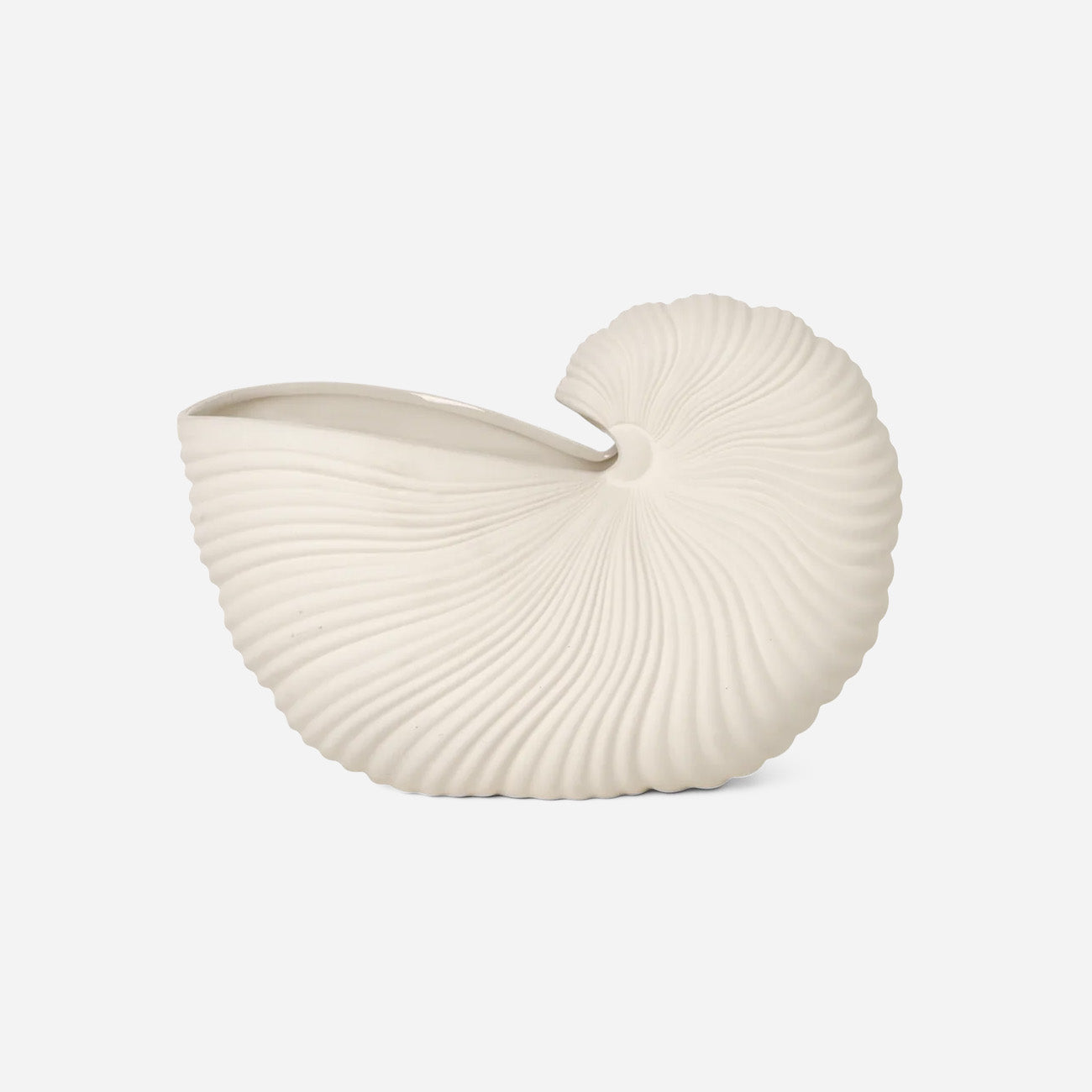 Nautilus Shell Pot