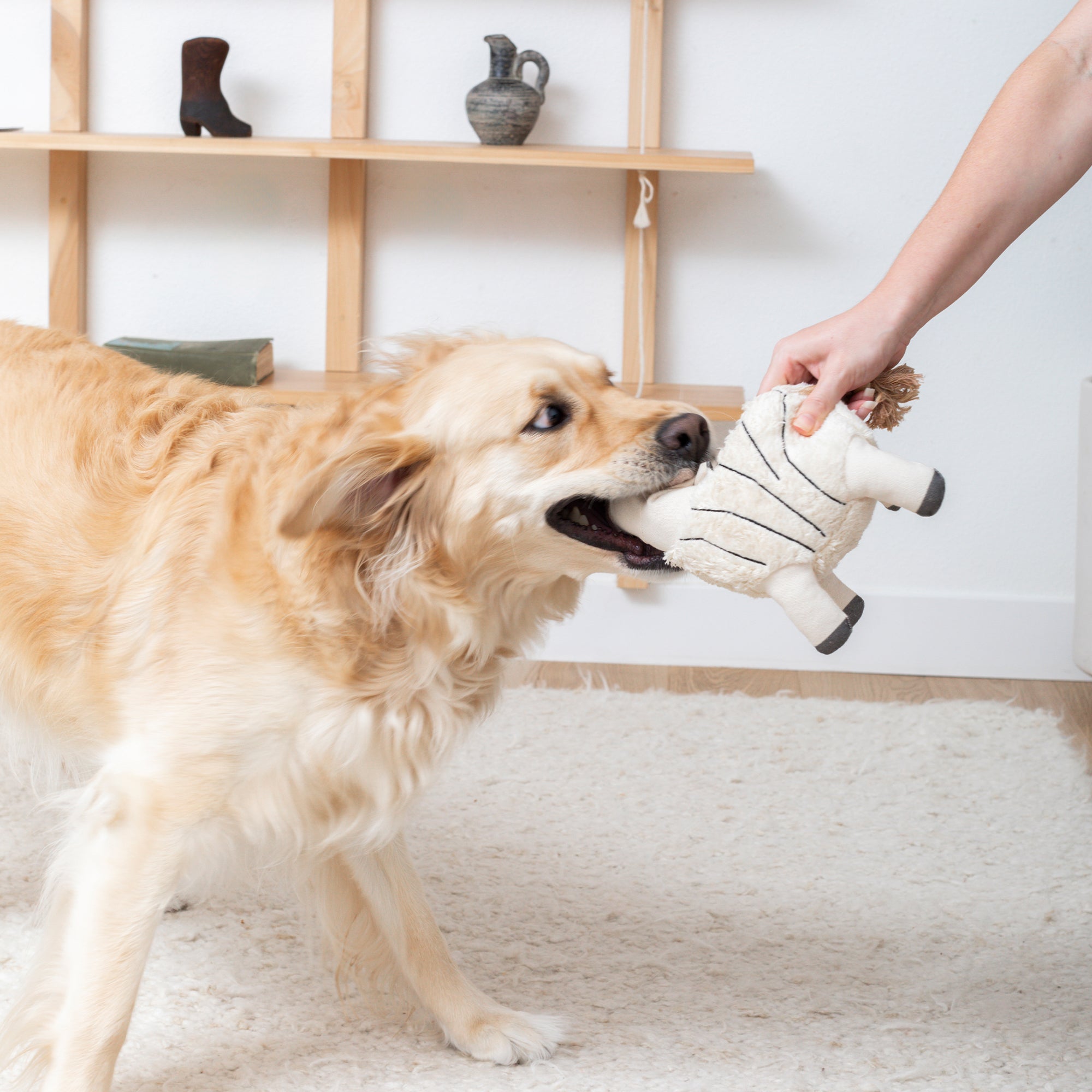 Earned My Stripes Zebra Dog Toy