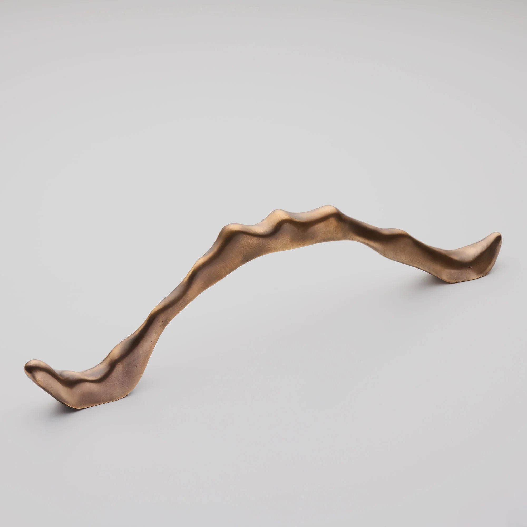 Darwin Arte Door Pull, Solid Bronze