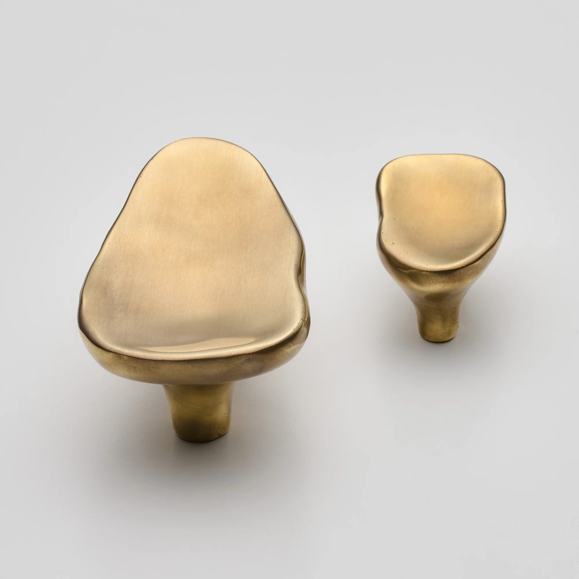 Darwin Oyster Small Cabinet Pull, Solid Brass