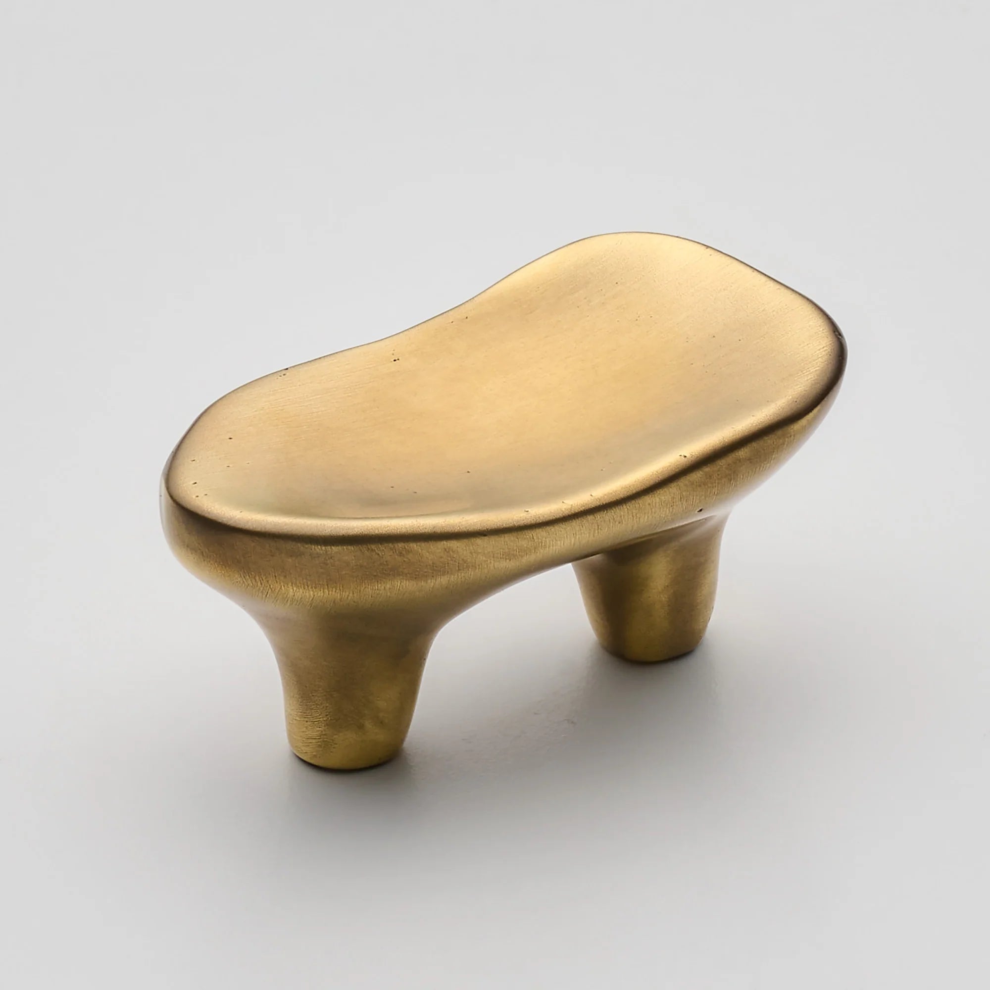 Darwin Oyster Small Cabinet Pull, Solid Brass