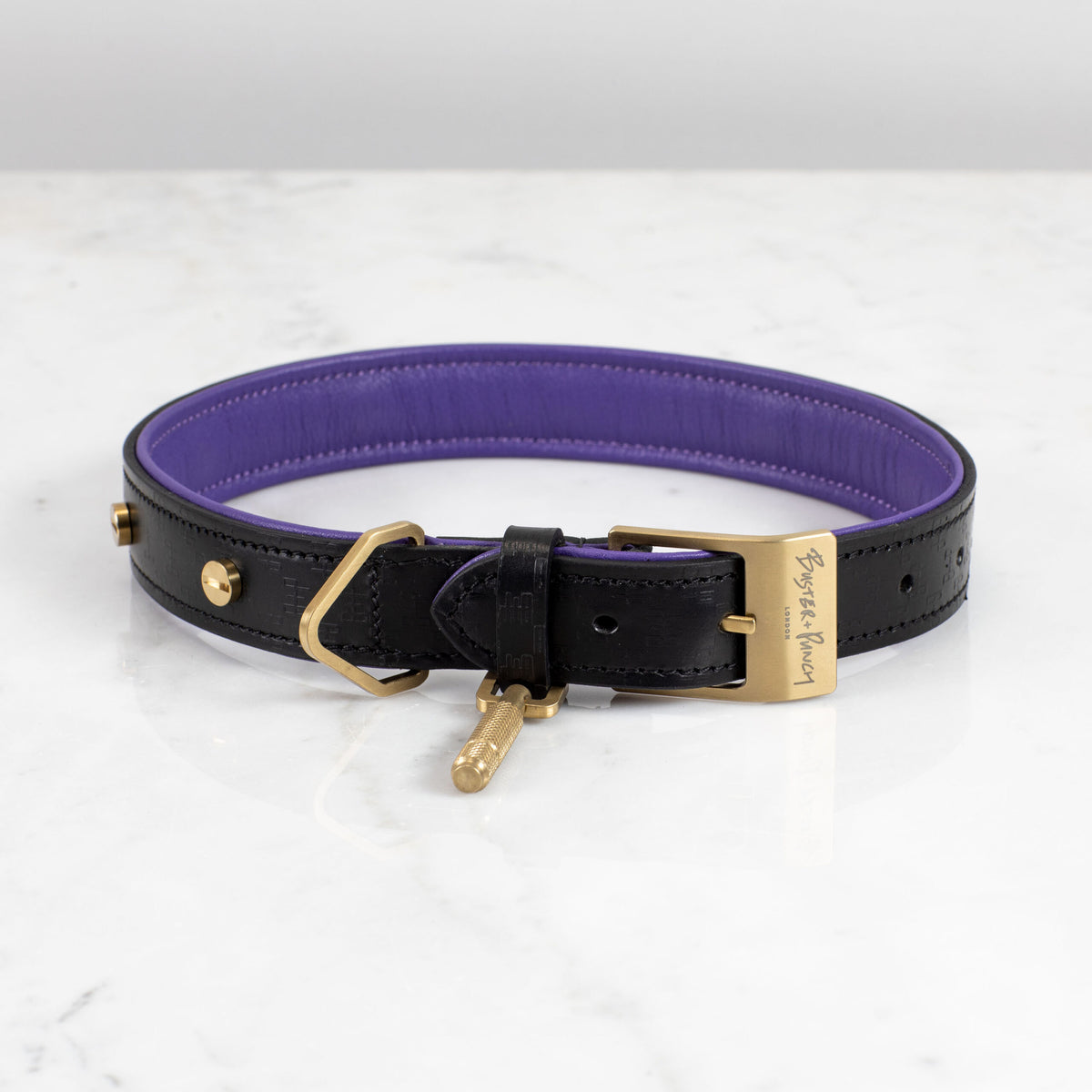Buster Black and Purple Dog Collar display picture 2