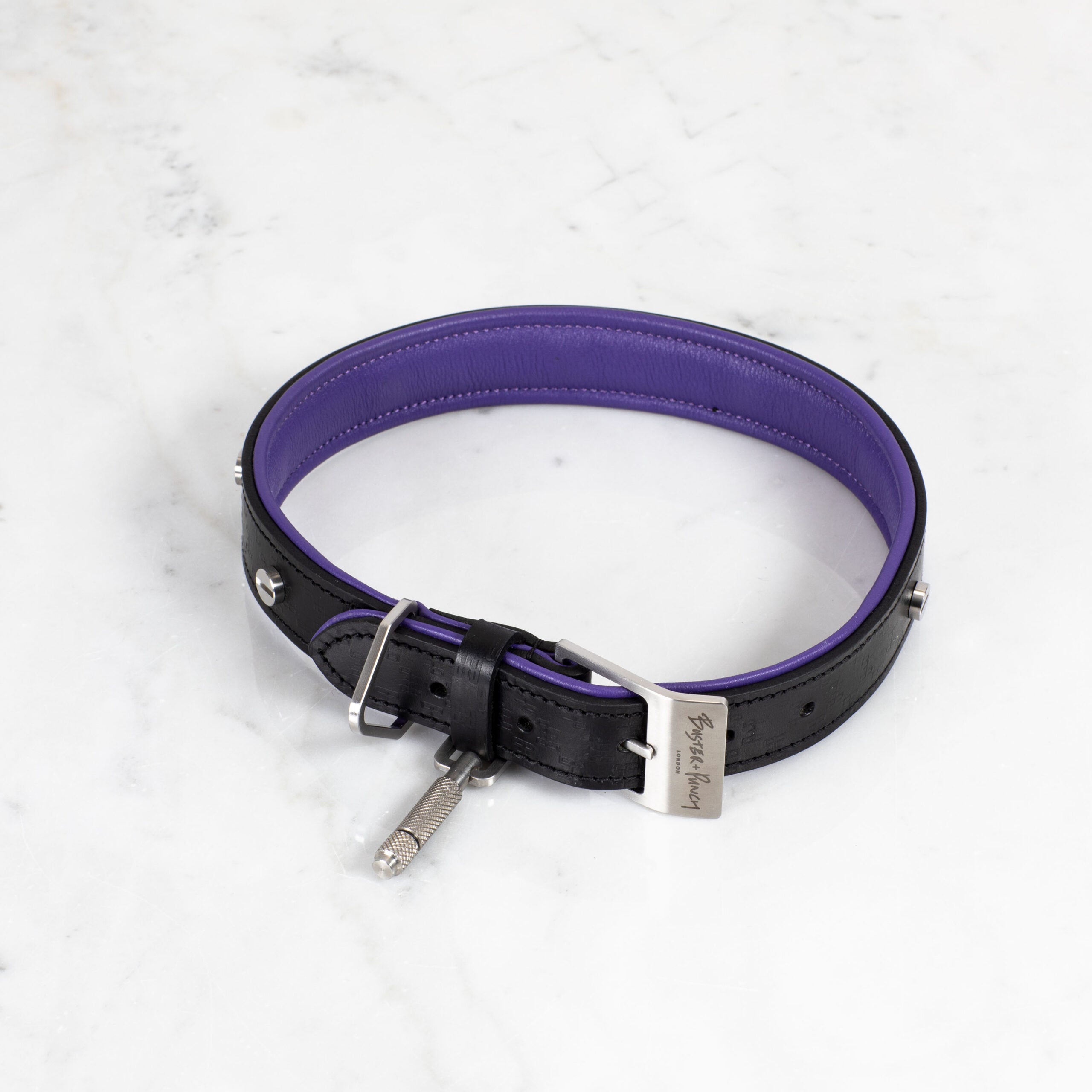 Buster Black and Purple Dog Collar