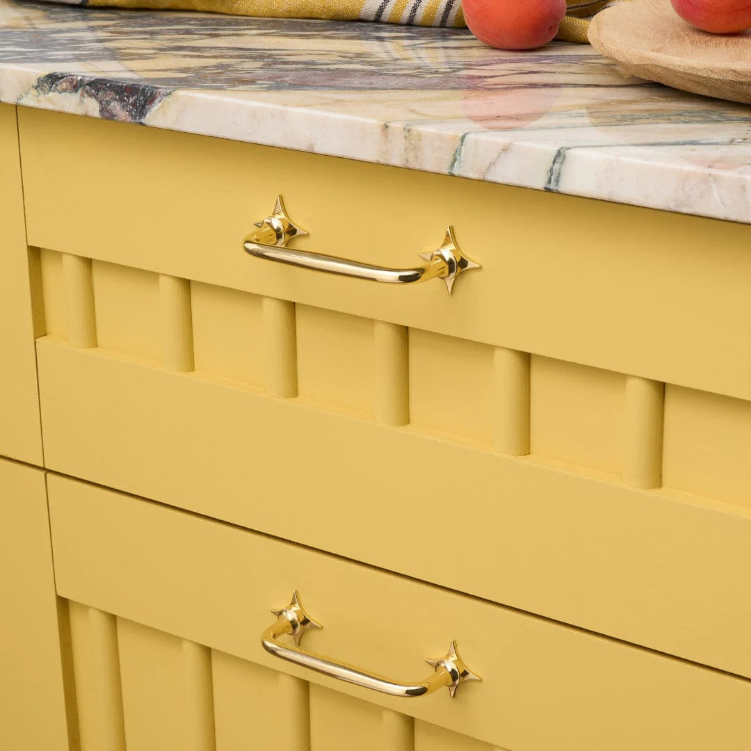 Ada Shaker Pull with Star Backplate