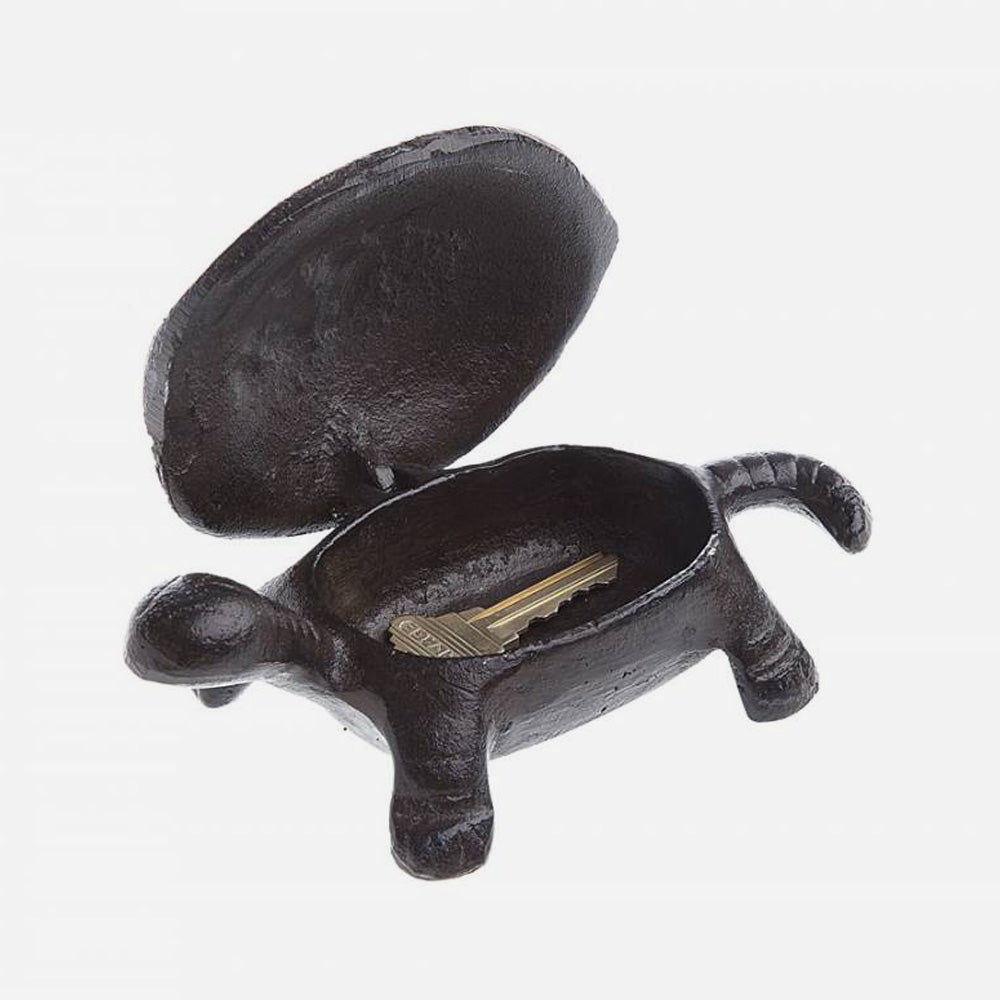 Turtle Hide-A-Key