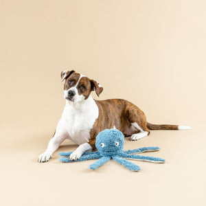Long Time No Sea Dog Toy