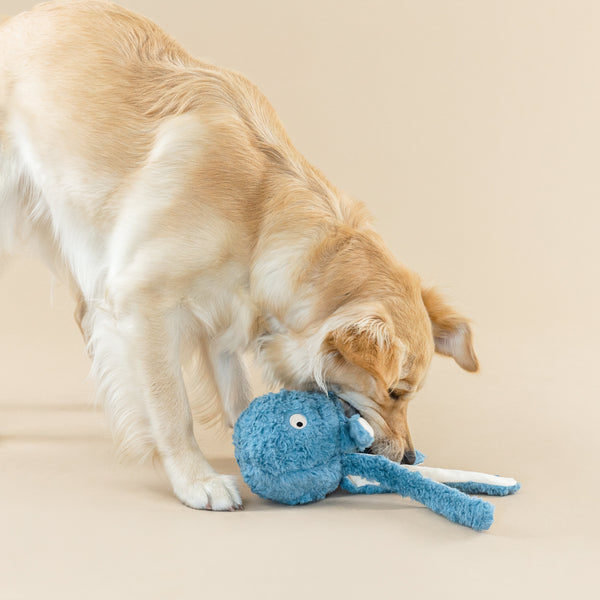 Long Time No Sea Dog Toy