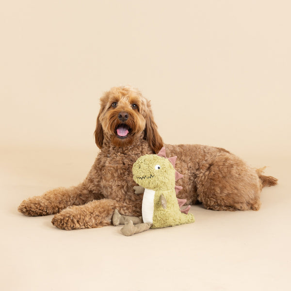 Small Arms, Big Heart Dog Toy