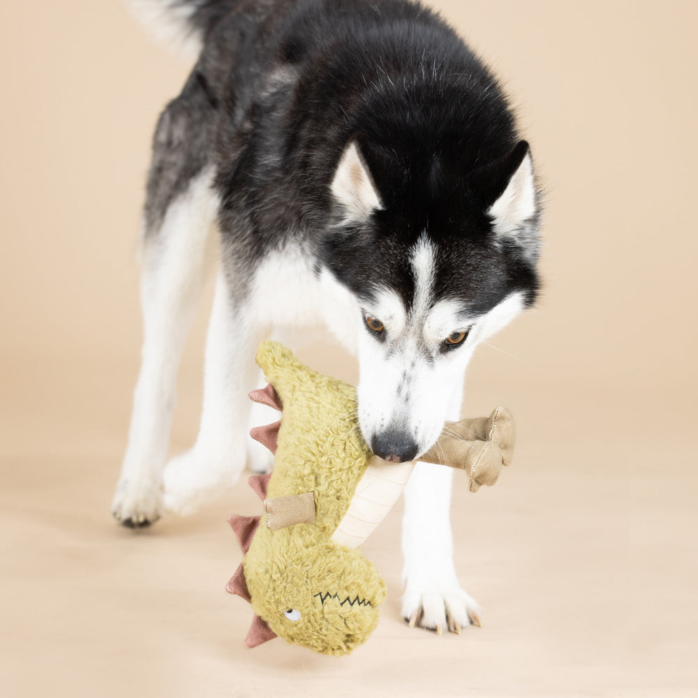 Small Arms, Big Heart Dog Toy
