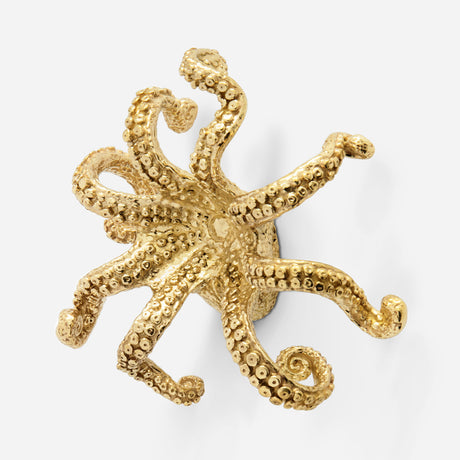 Octo I Cabinet Pull