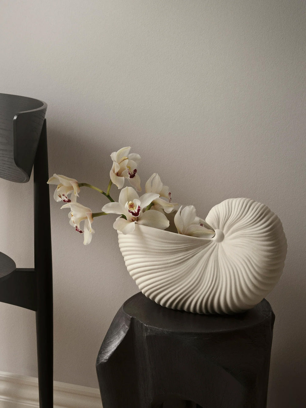 Nautilus Shell Pot