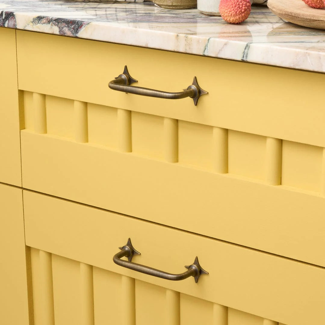 Ada Shaker Pull with Star Backplate