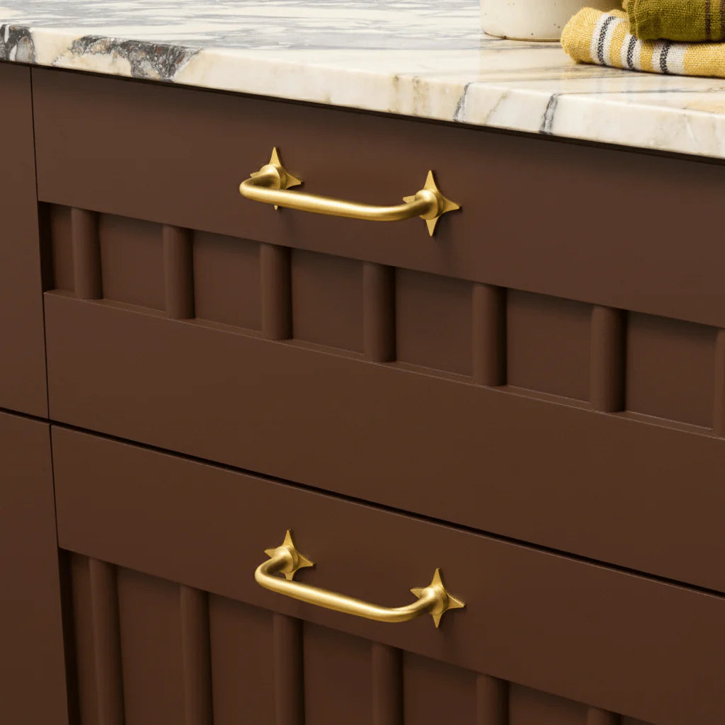 Ada Shaker Pull with Star Backplate