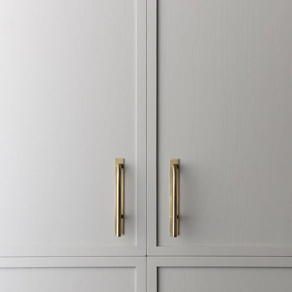 Brera Cabinet Pull and Backplate
