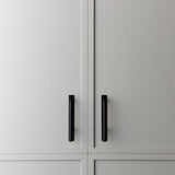 Brera Cabinet Pull and Backplate