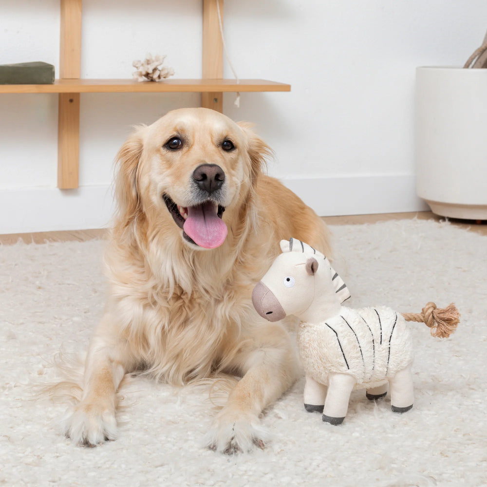 Earned My Stripes Zebra Dog Toy