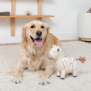 Earned My Stripes Zebra Dog Toy