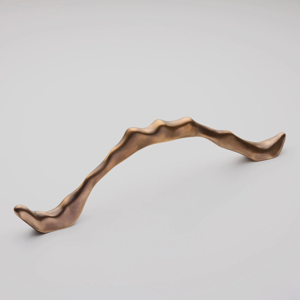 Darwin Arte Door Pull, Solid Bronze