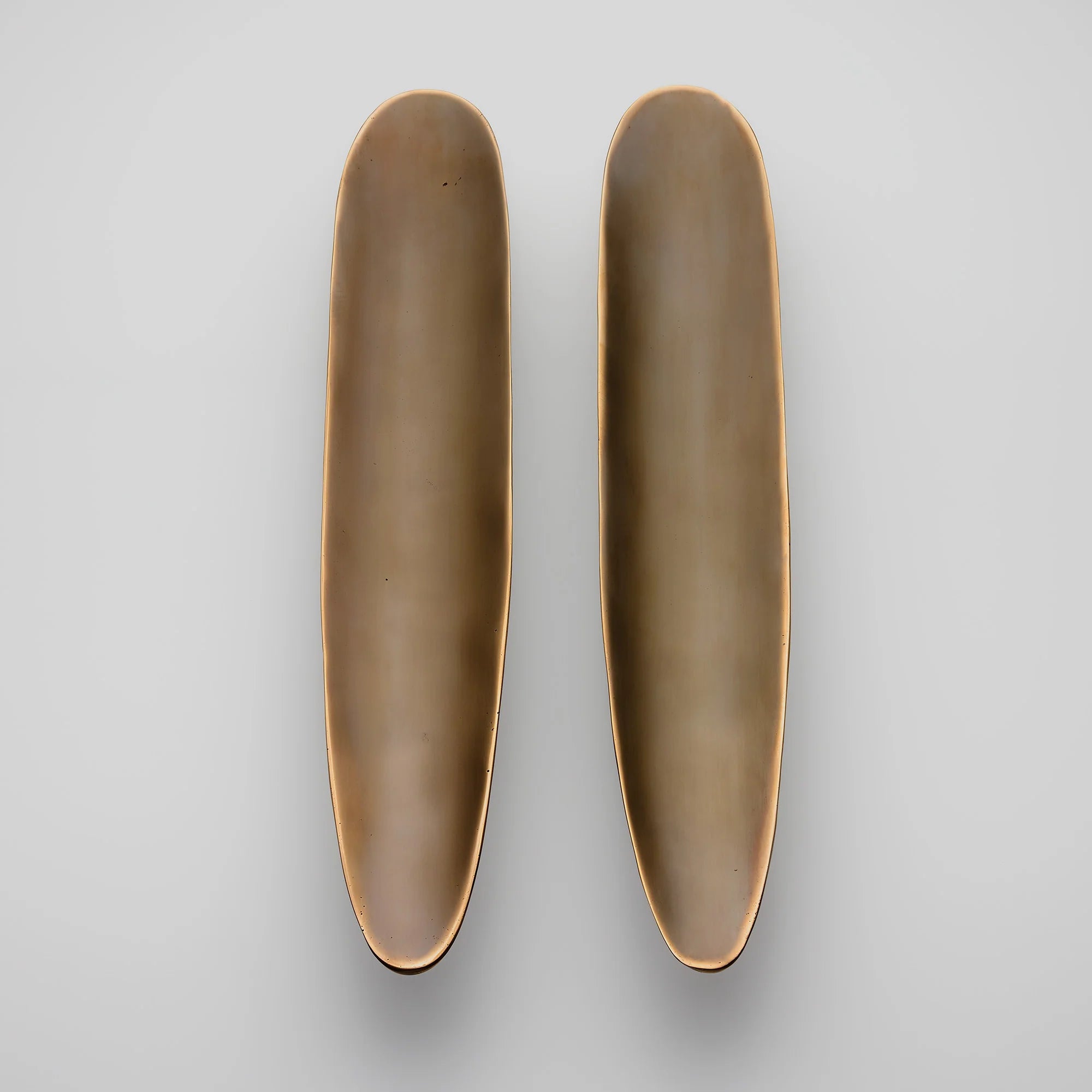 Darwin Oyster Large Cabinet Pull, Solid Bronze