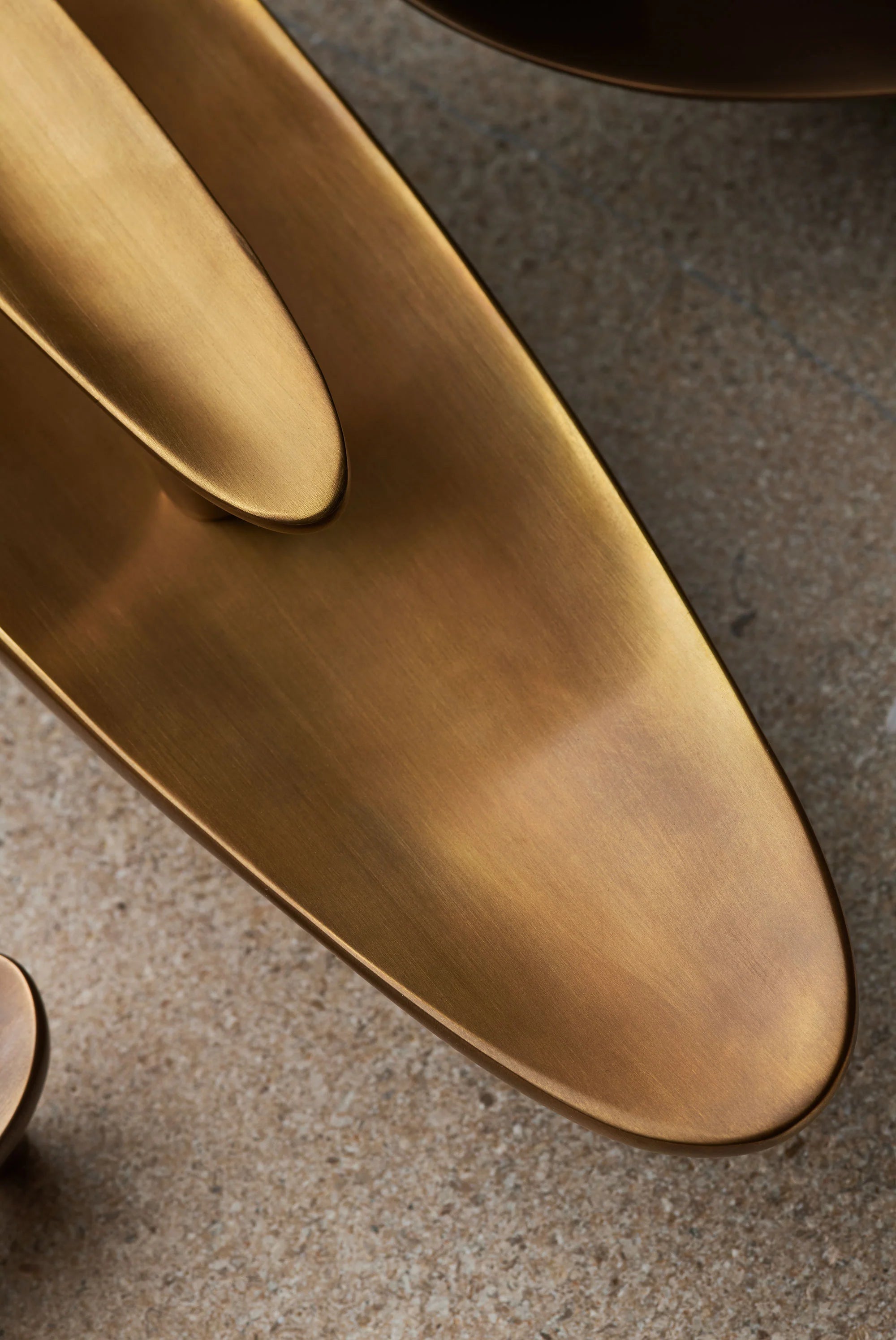 Darwin Oyster Large Cabinet Pull, Solid Bronze