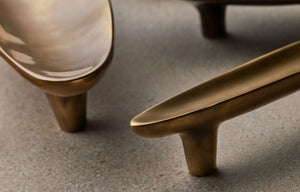 Darwin Oyster Large Cabinet Pull, Solid Bronze