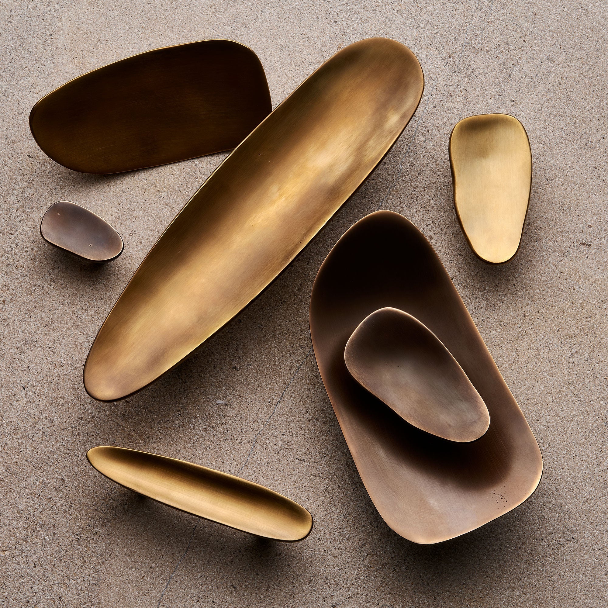 Darwin Oyster Small Cabinet Pull, Solid Bronze