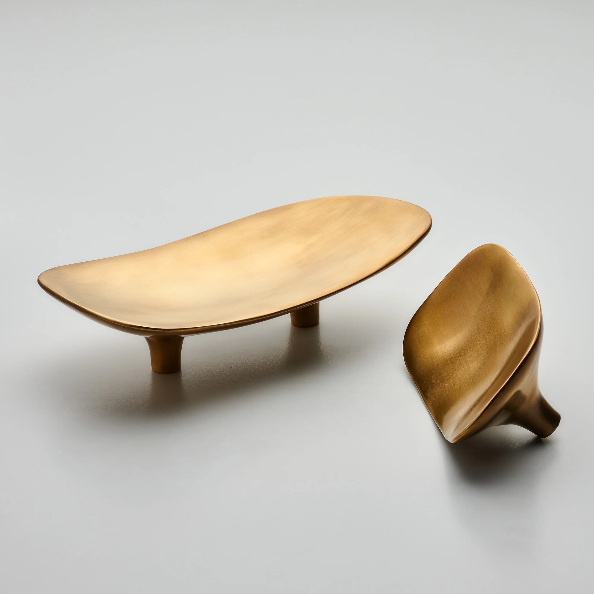 Darwin Oyster Organic Cabinet Pull, Solid Brass