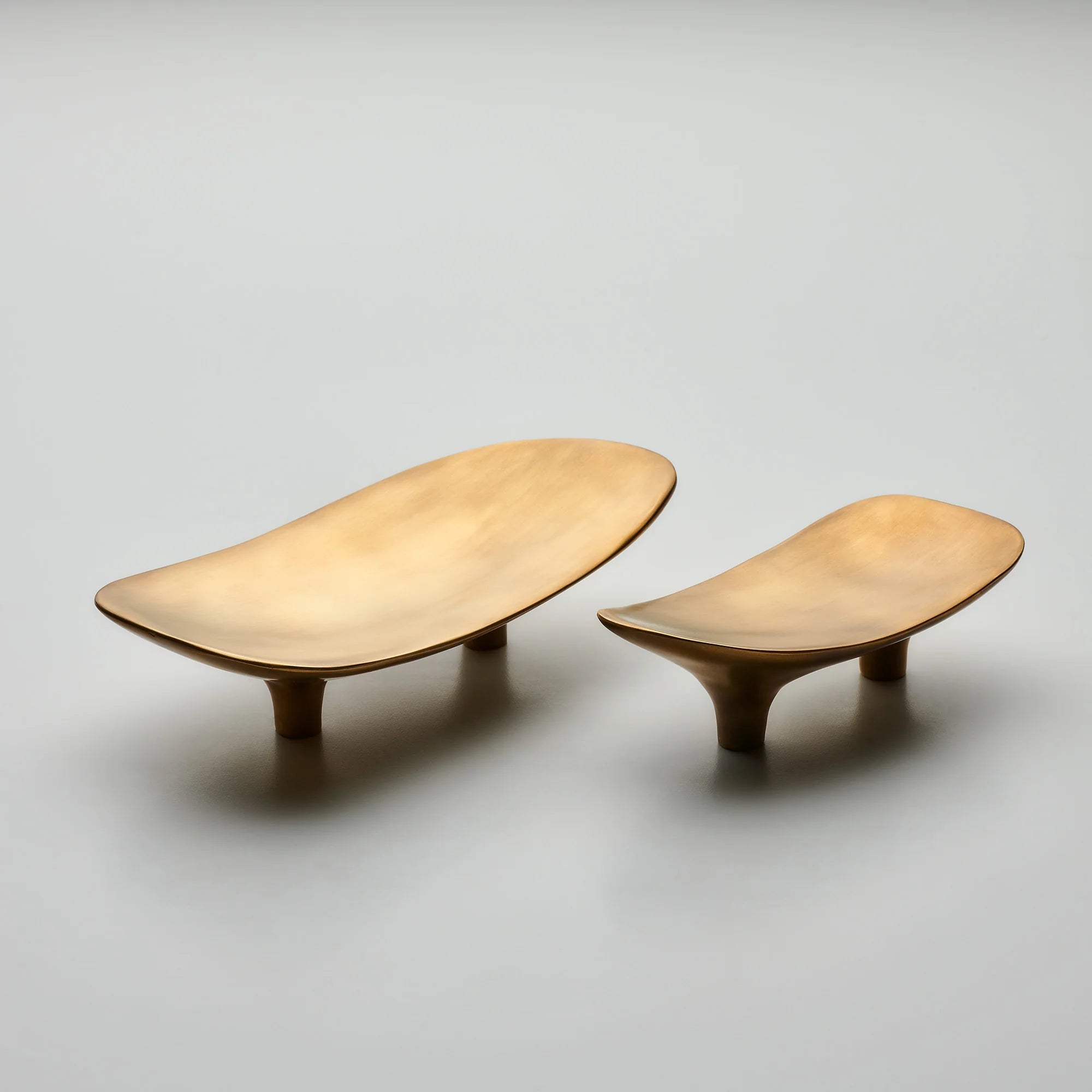 Darwin Oyster Organic Cabinet Pull, Solid Brass