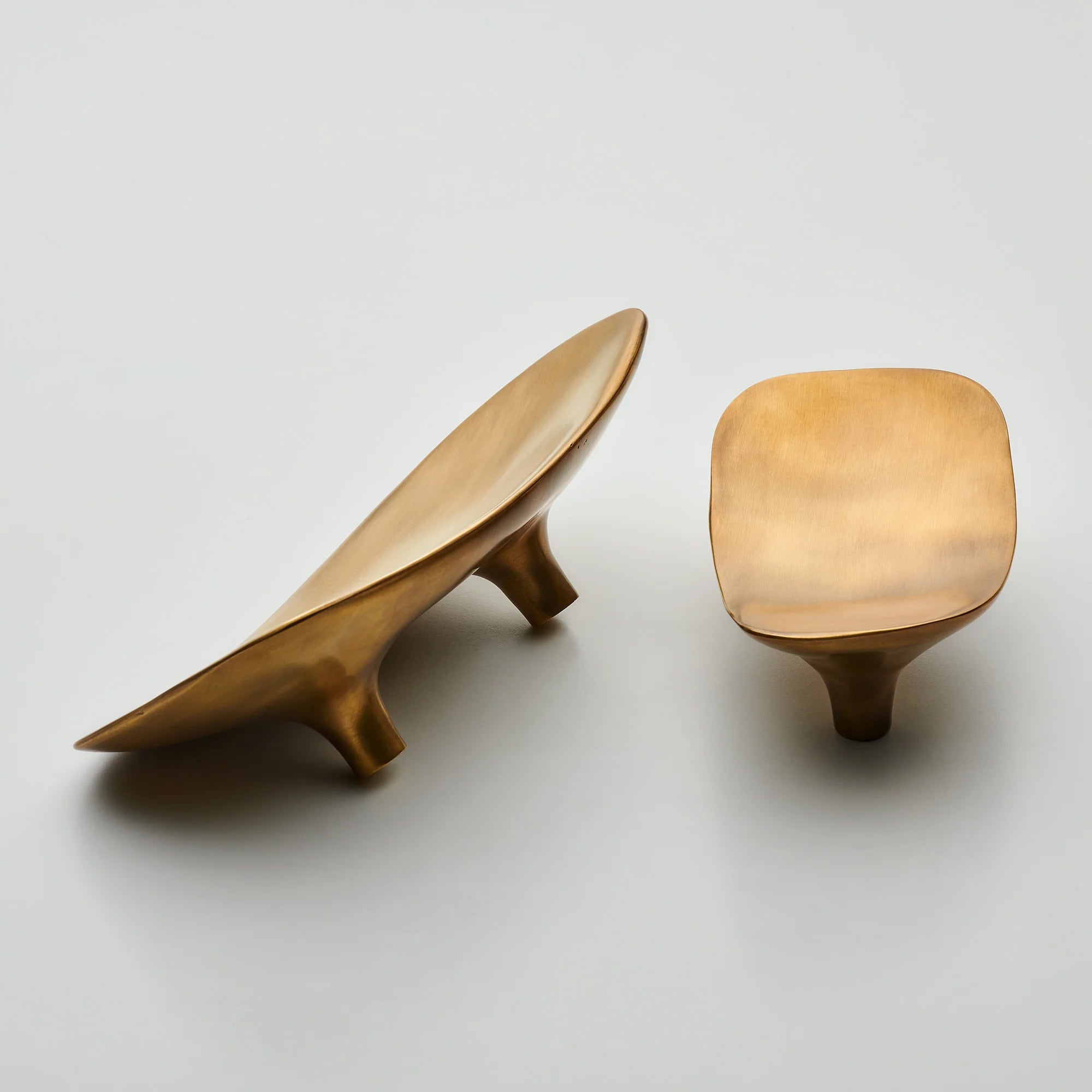 Darwin Oyster Organic Cabinet Pull, Solid Brass