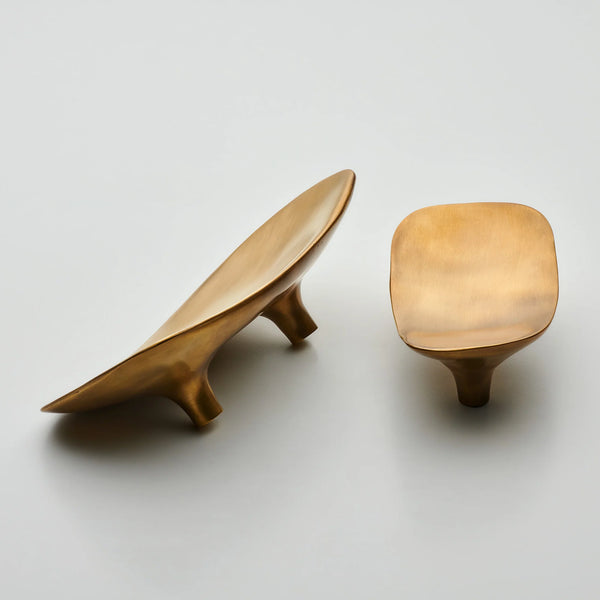 Darwin Oyster Organic Cabinet Pull, Solid Brass