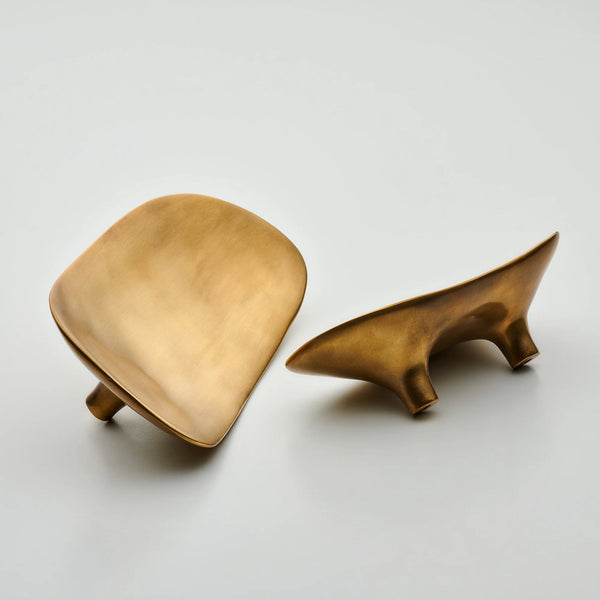 Darwin Oyster Organic Cabinet Pull, Solid Brass