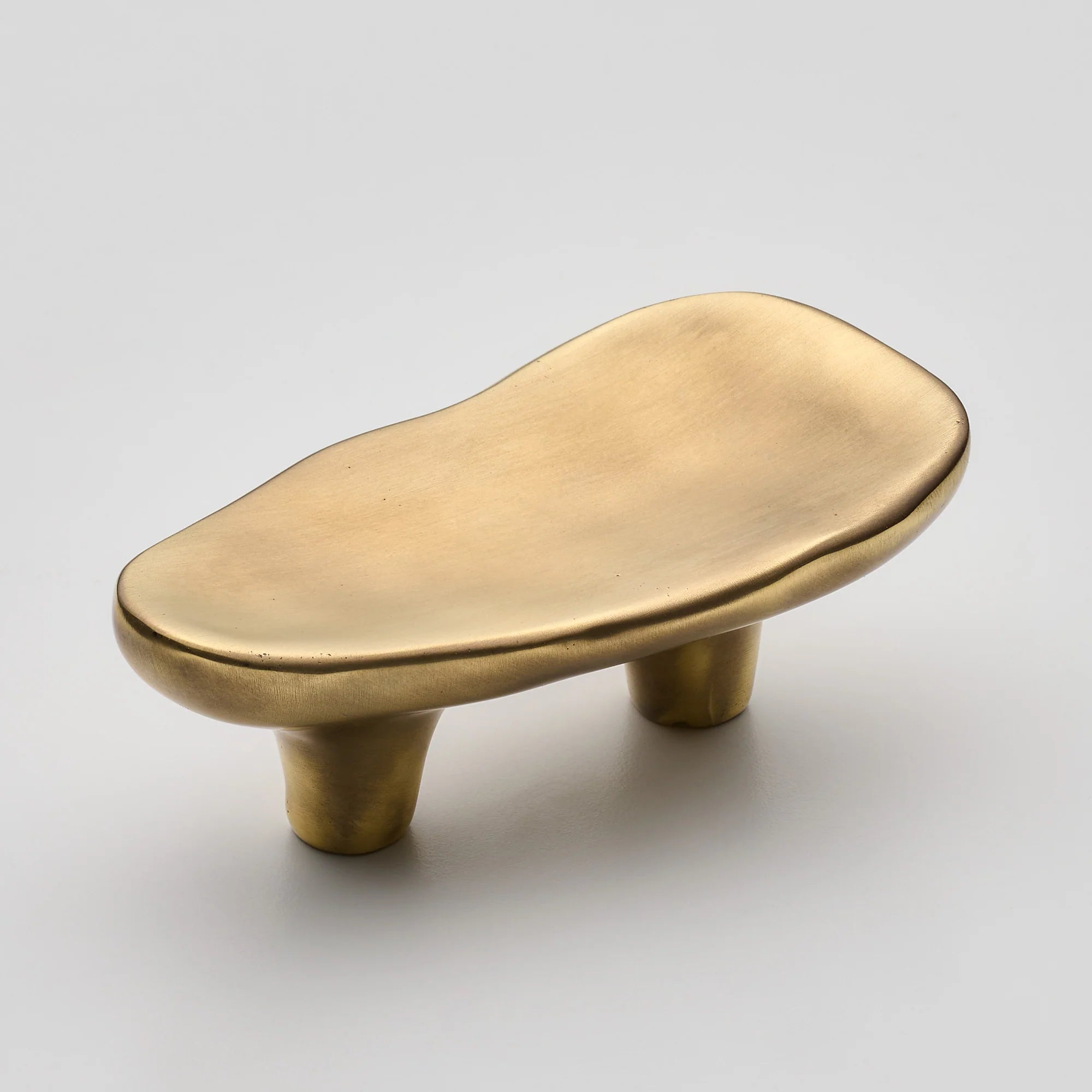 Darwin Oyster Small Cabinet Pull, Solid Brass
