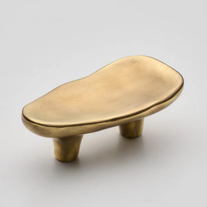 Darwin Oyster Small Cabinet Pull, Solid Brass