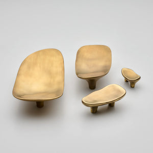 Darwin Oyster Small Cabinet Pull, Solid Brass