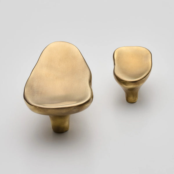 Darwin Oyster Small Cabinet Pull, Solid Brass