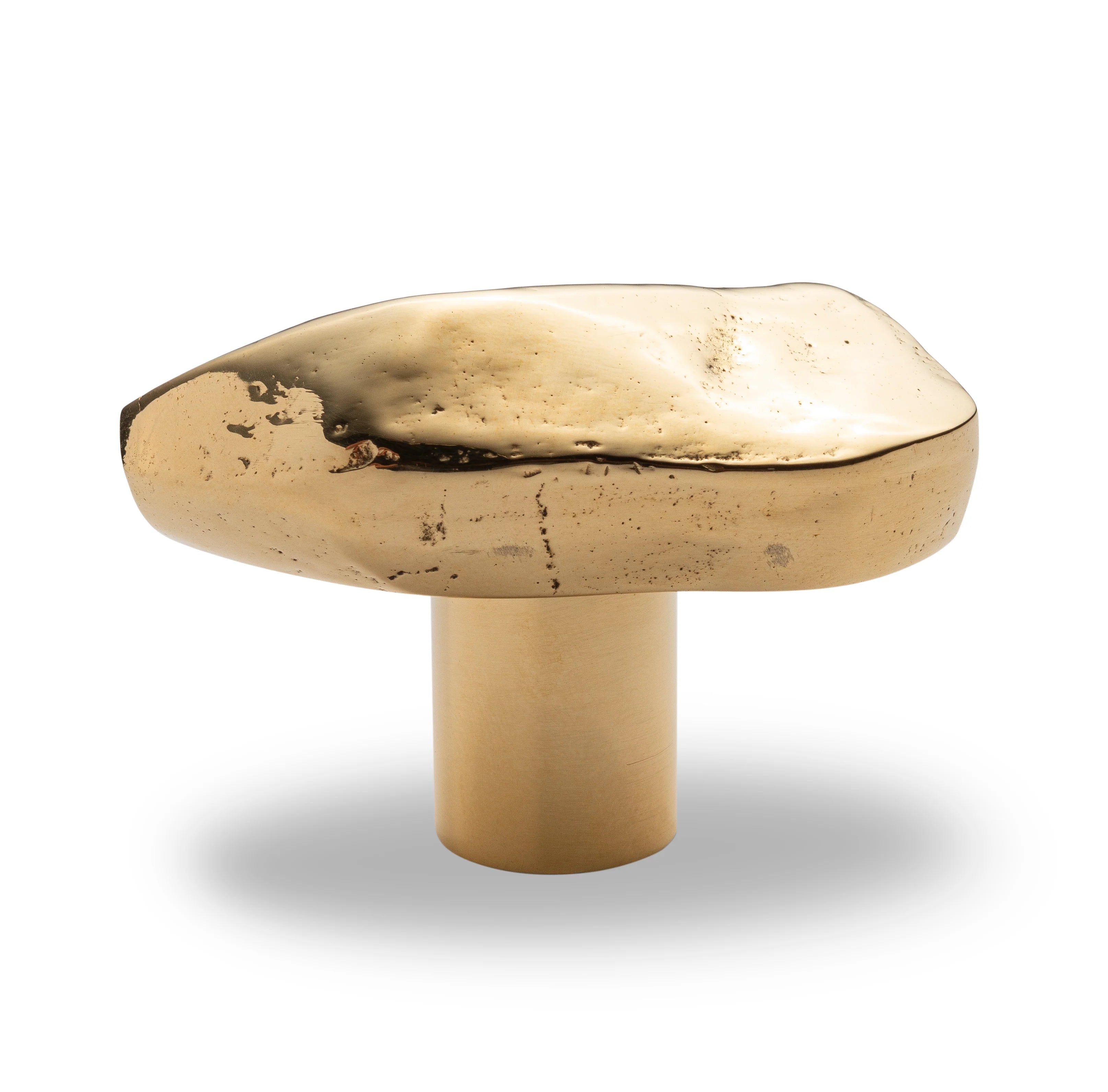 Darwin Organic Cabinet Knob