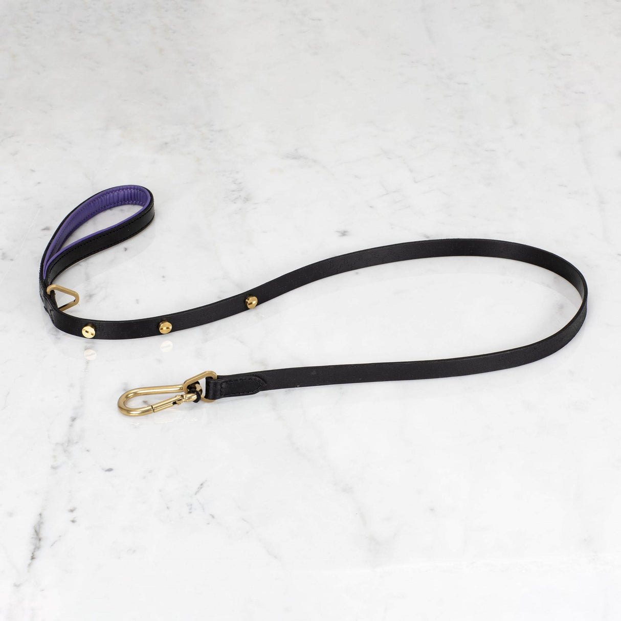 Buster Black and Purple Dog Leash