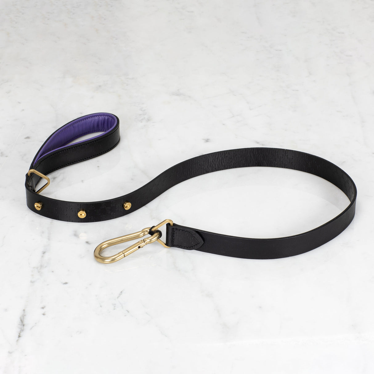 Buster Black and Purple Dog Leash