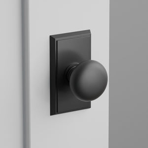 Providence Door Knob on Rectangular Rosette