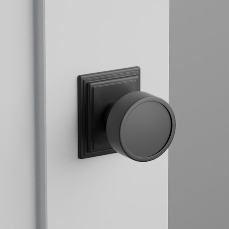 Verve Door Knob on Wilshire Rosette