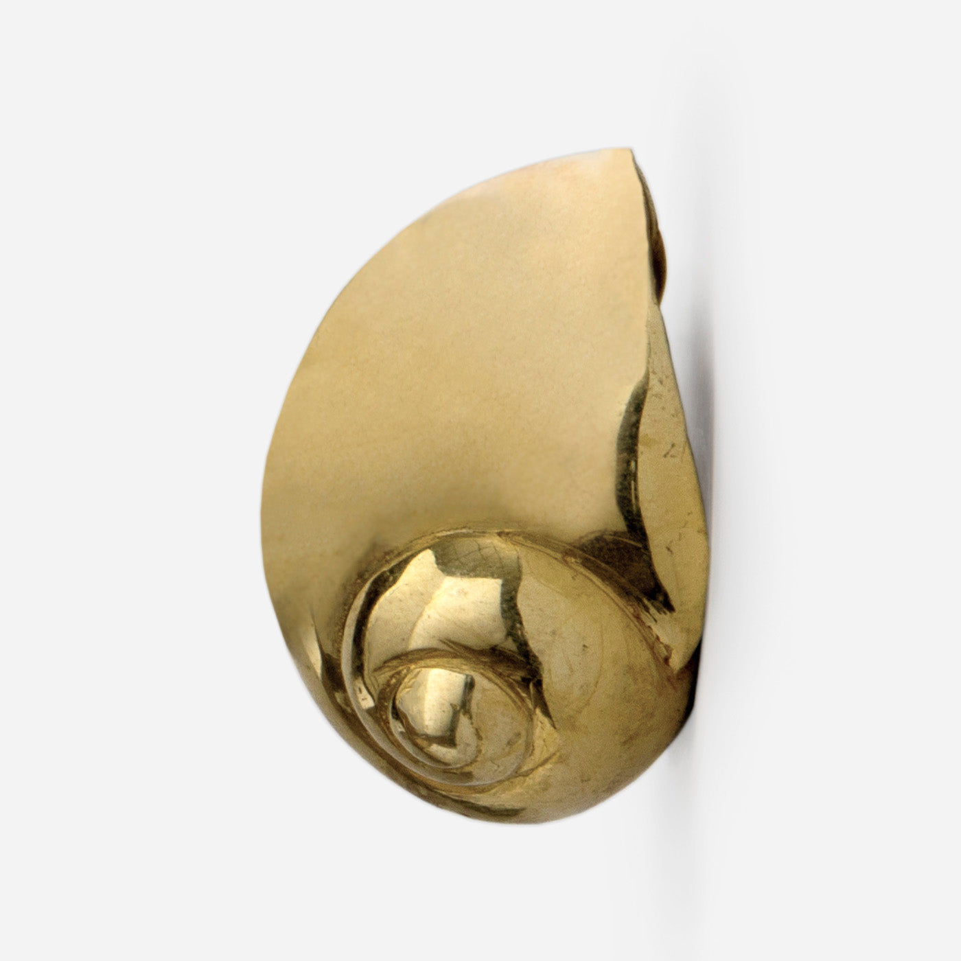 Natica Shell Cabinet Knob