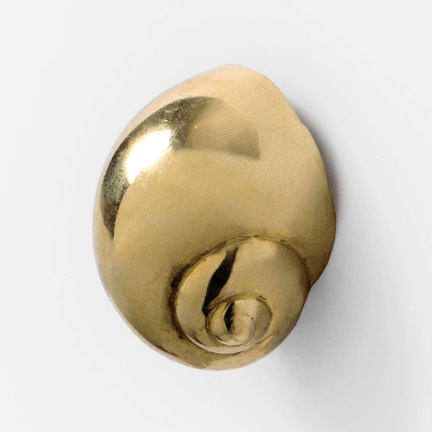 Natica Shell Cabinet Knob