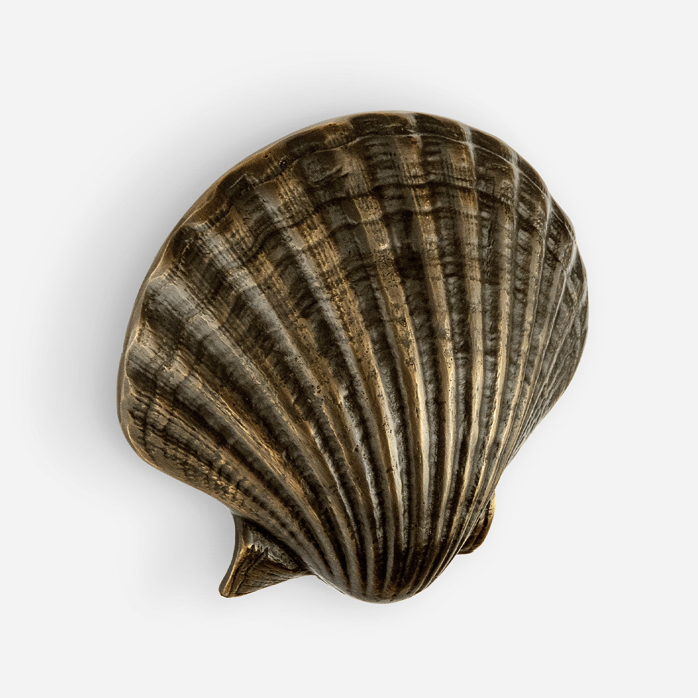 Seashell Cabinet Pull