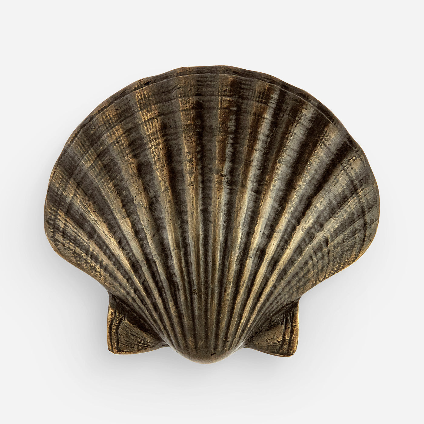 Seashell Cabinet Pull