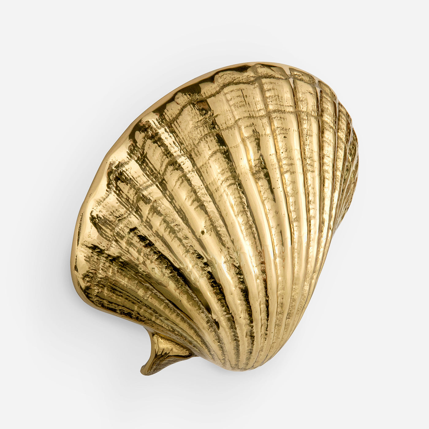 Seashell Cabinet Pull