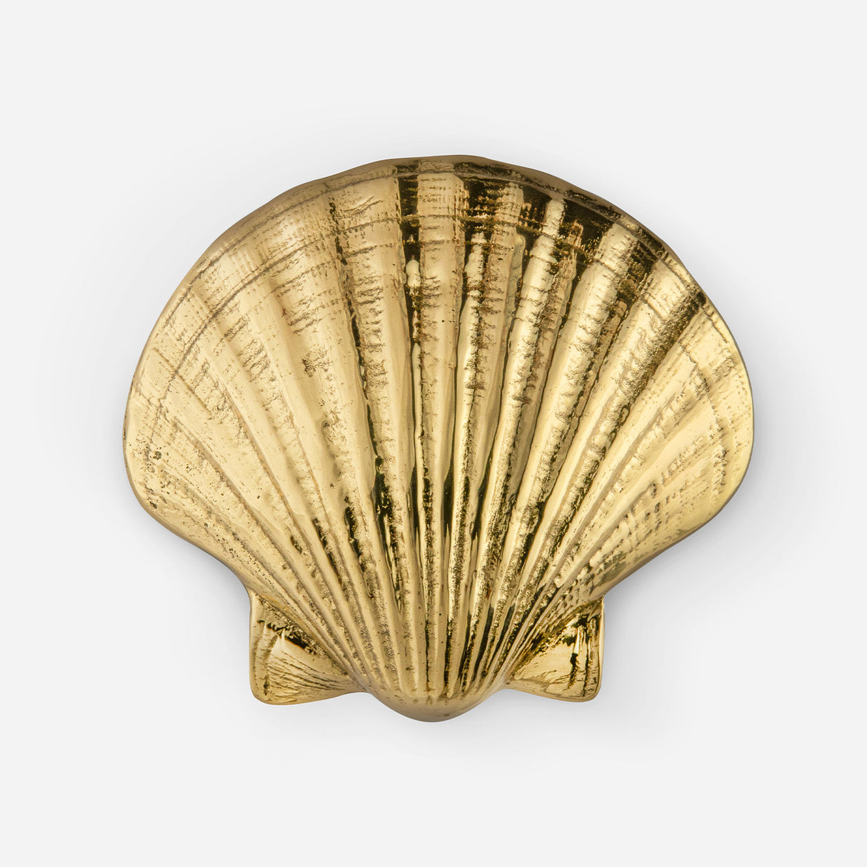 Seashell Cabinet Pull