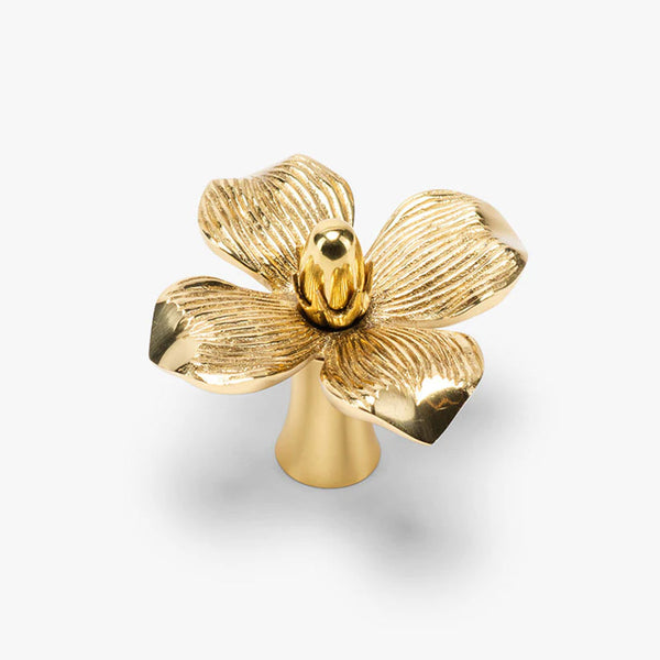 Dogwood Solid Brass Cabinet Knob