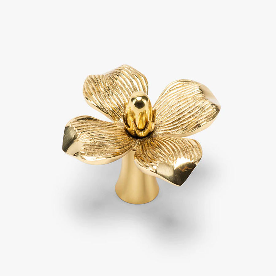 Dogwood Solid Brass Cabinet Knob