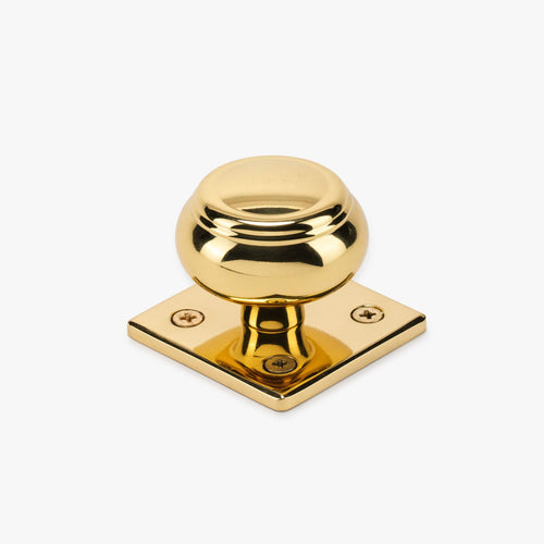 Roanoke Cabinet Knob and Crew Backplate
