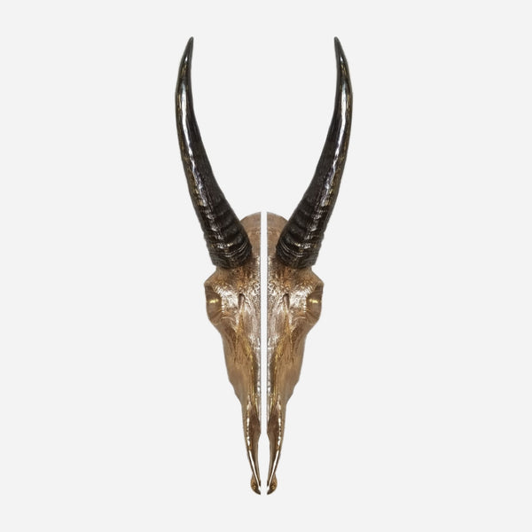 Goat Skull Pull Set